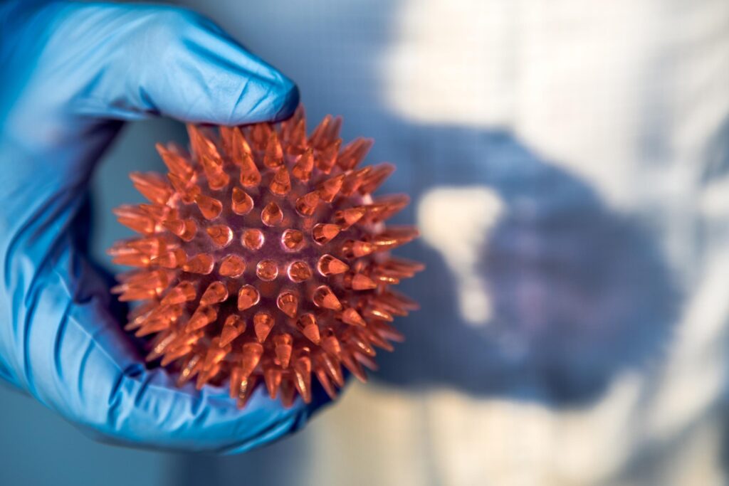 Nipah Virus in 2026_ Why Cases Are Rising and How Prevention Remains Critical