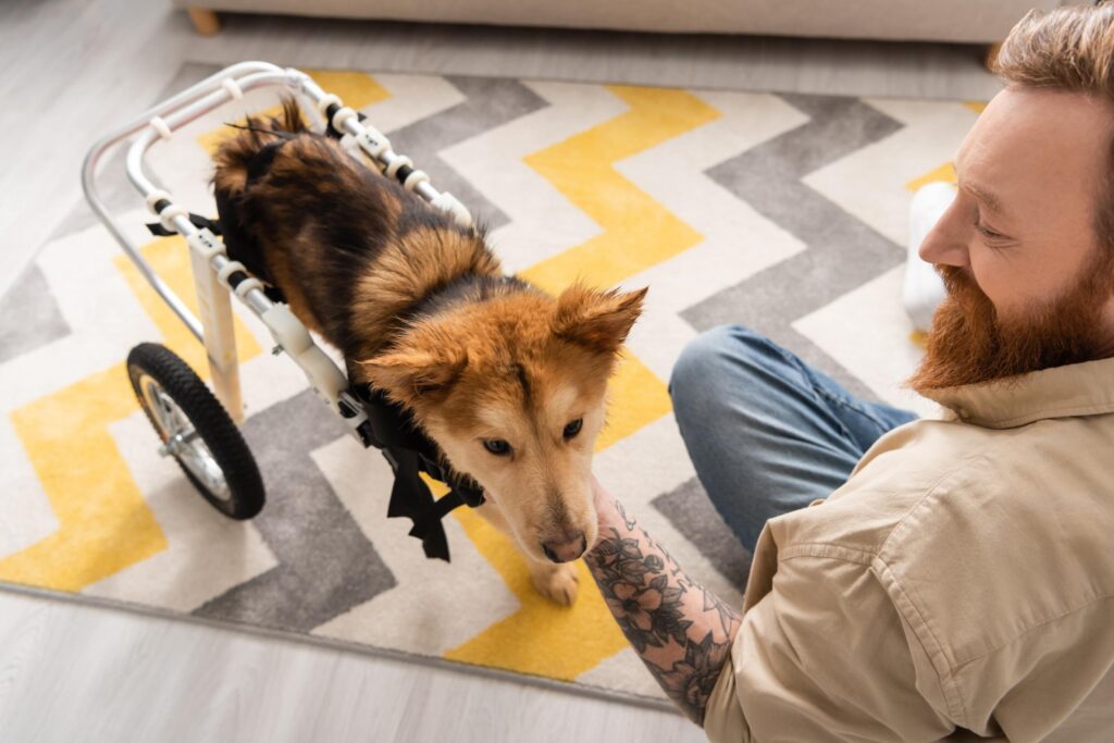 Caring for Pets with Disabilities_ Practical Guidance for Supporting Special-Needs Animals